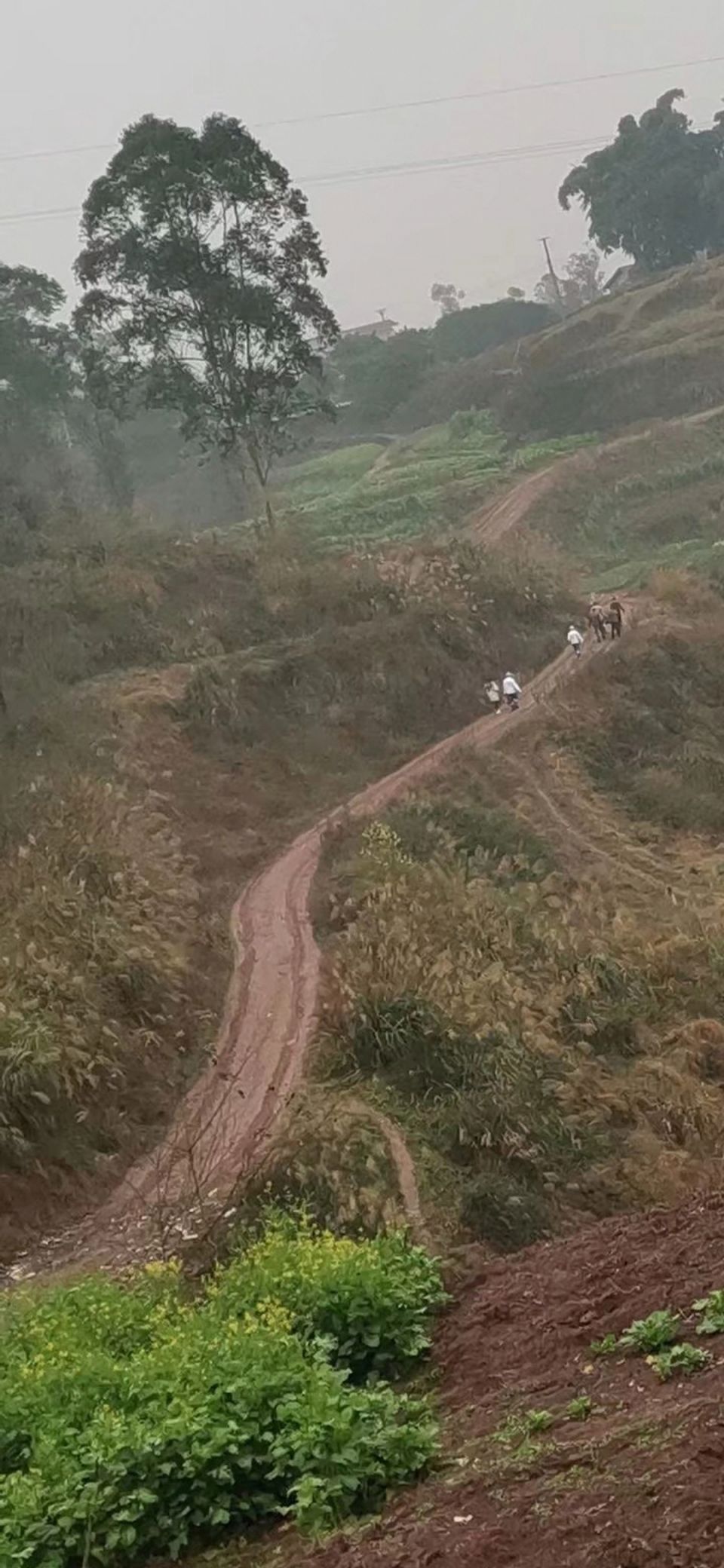 反映泸县百和镇东林观村乡村泥巴路况差出行难 就医不便