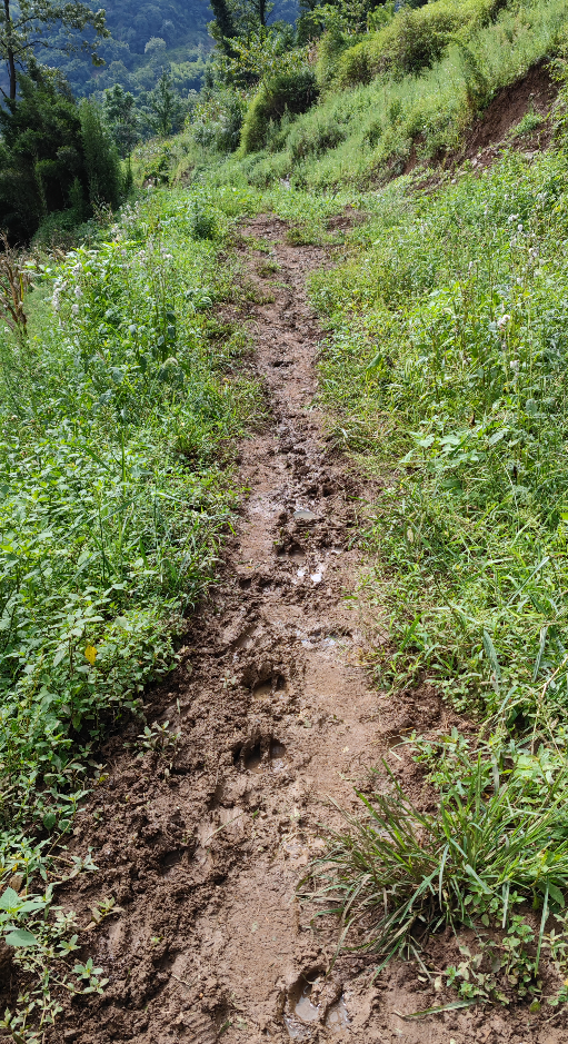 20210816415def40a86e712e38624d74c4f3e5721520153701.png 9ead9cbaacb1a4b39883923692747d6.png