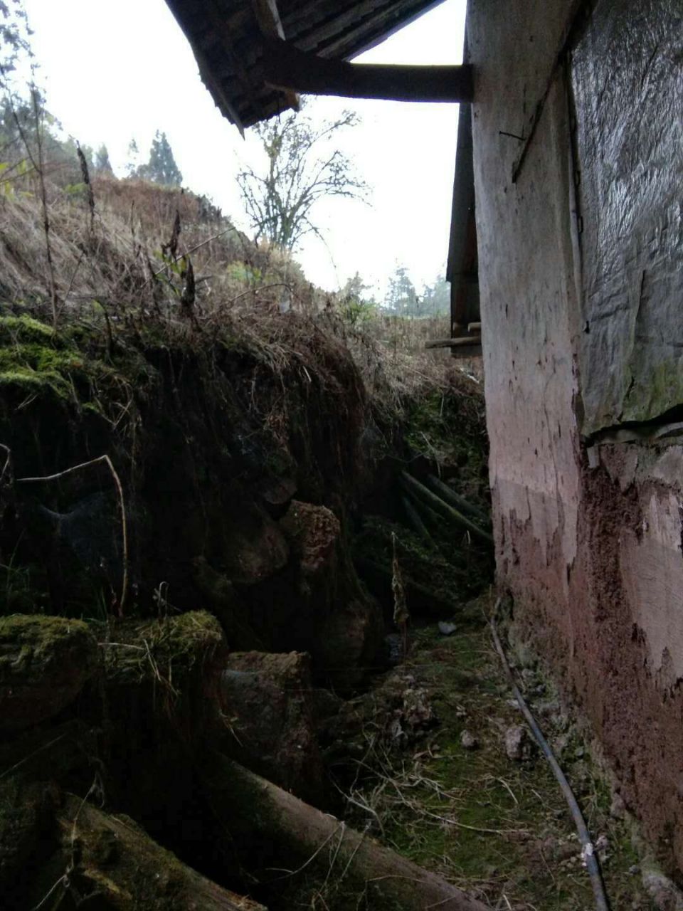 咨询古蔺县桂花乡危房改造相关政策