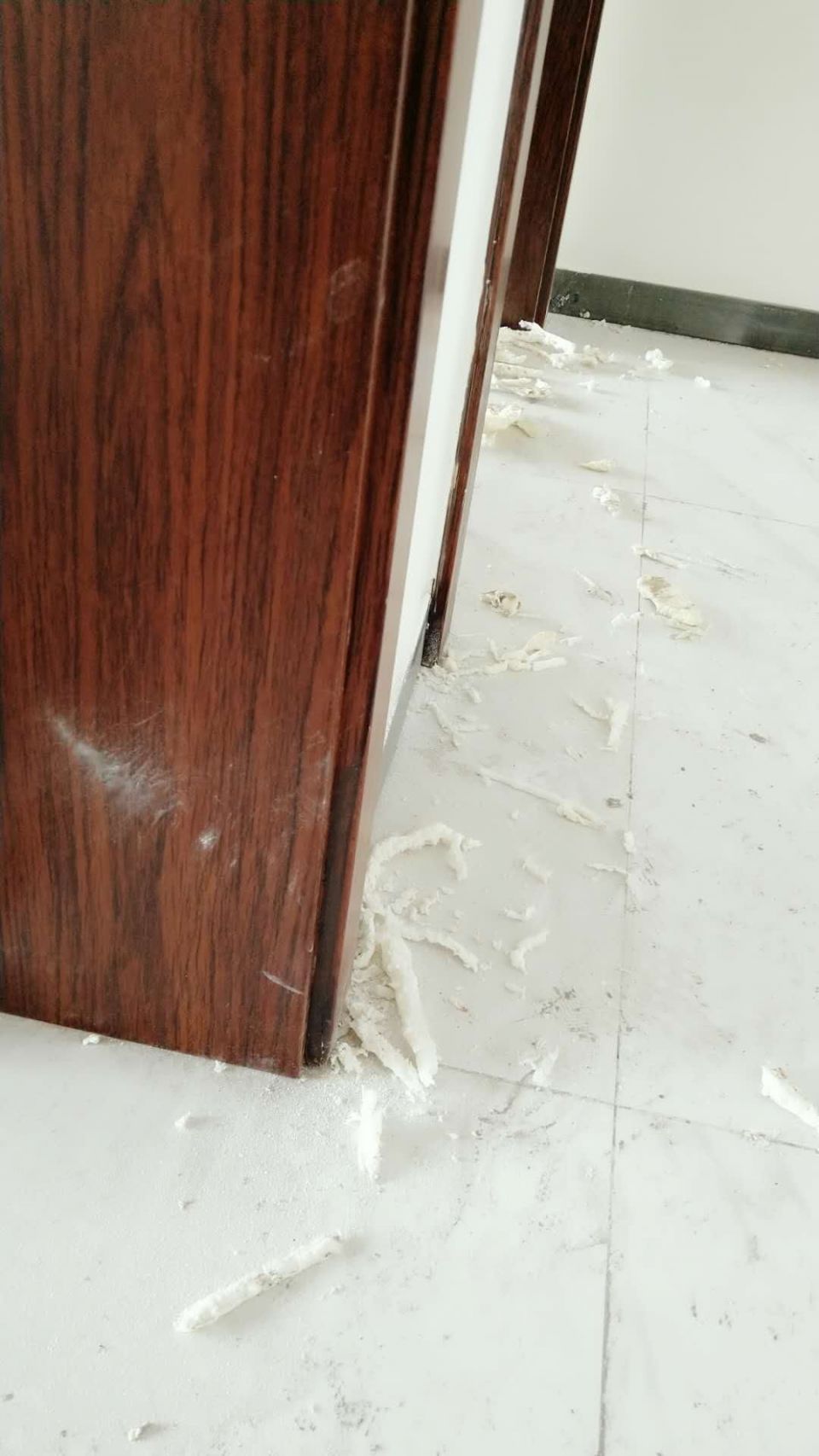 反映绿韵一期精装房相关问题