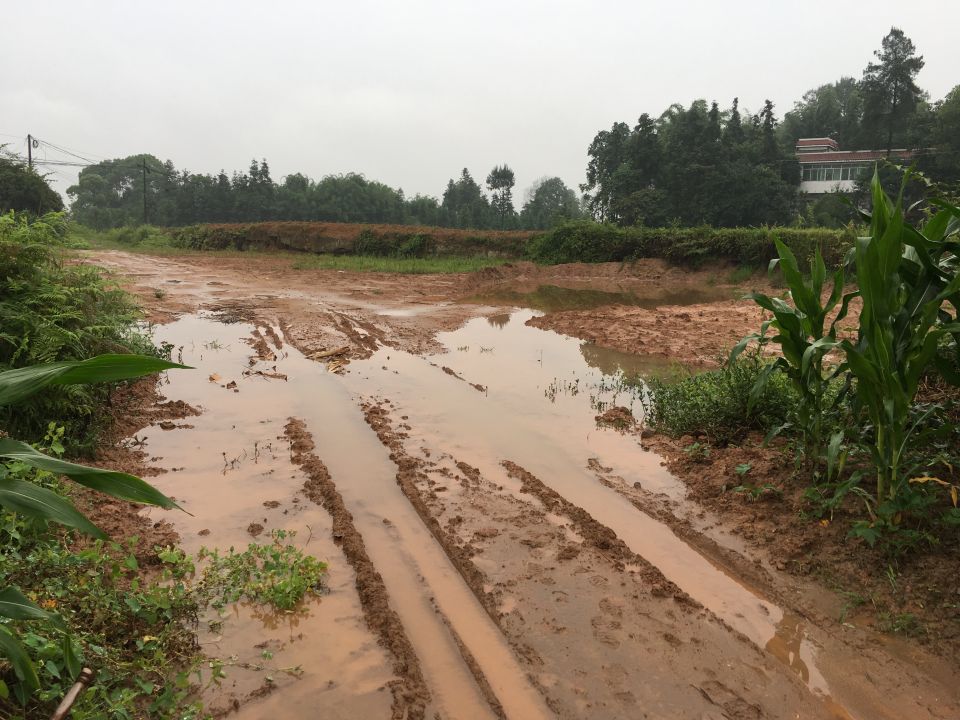 龍車鎮鎮曹灣村六社新農村旁邊魚塘填平之後下雨路被淹