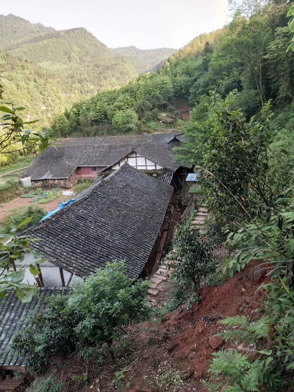 咨询古蔺县桂花乡汉溪村农村宅基地申请和自建房