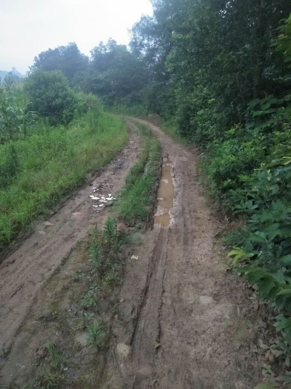 反映敘永縣興隆鎮南坳村鄉村公路打水泥路和出行問題