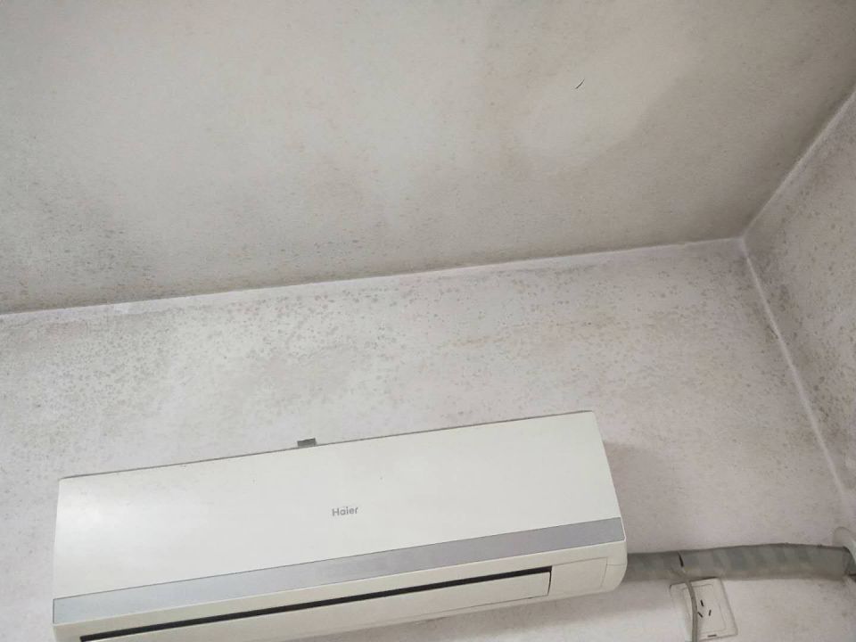 2019061592d362861b2827d0679b413919ce90fe1149477528.jpg QQ图片20190615114603.jpg