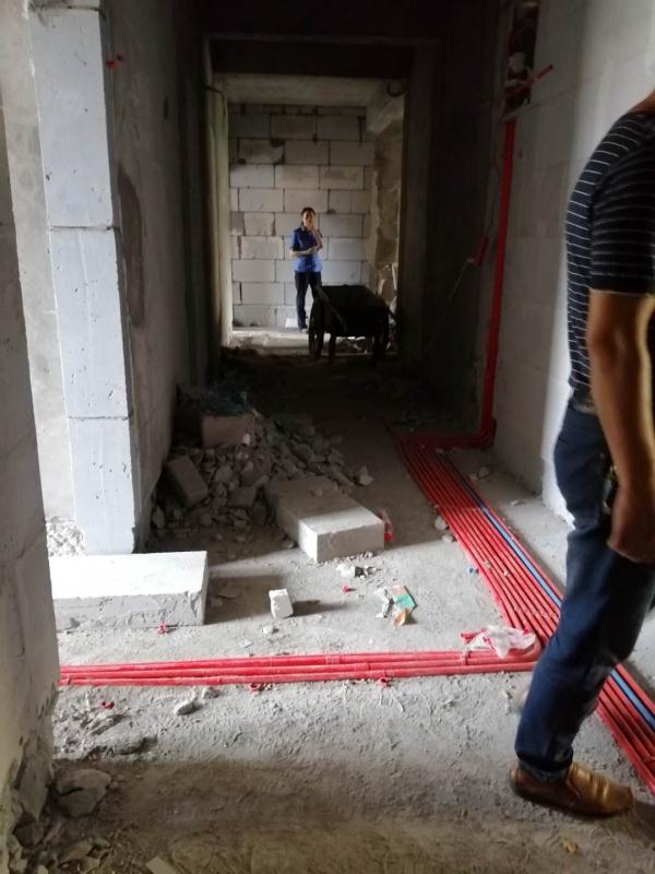 20190626855407858c80801113c3c45ca5a6c7101059472095.jpg 222.jpg