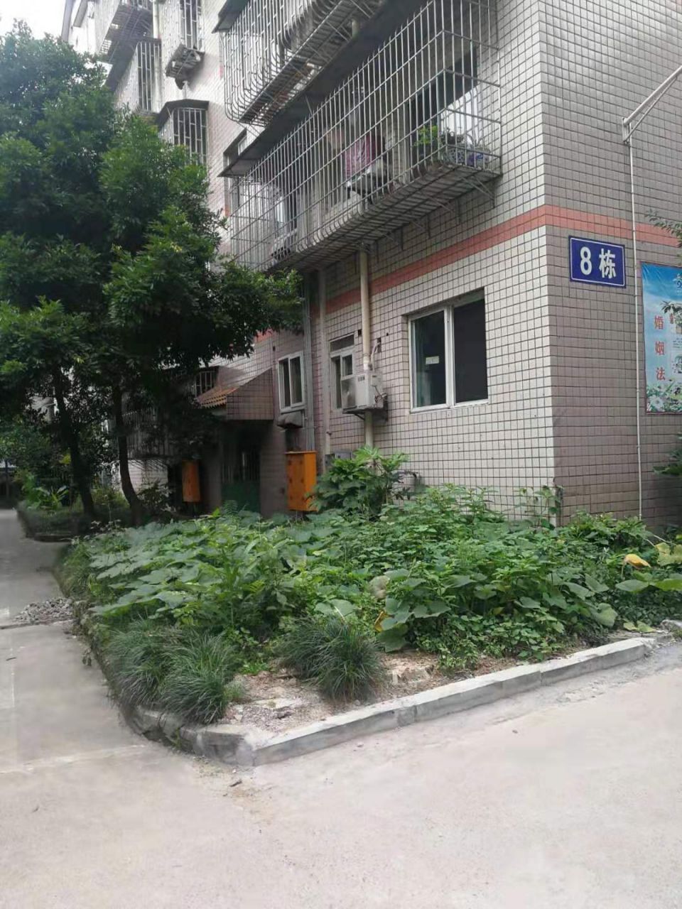 20190703a2d5e6bc2f3ab6fdb88141dc20ba42171630367529.jpg 微信图片_20190703163535.jpg