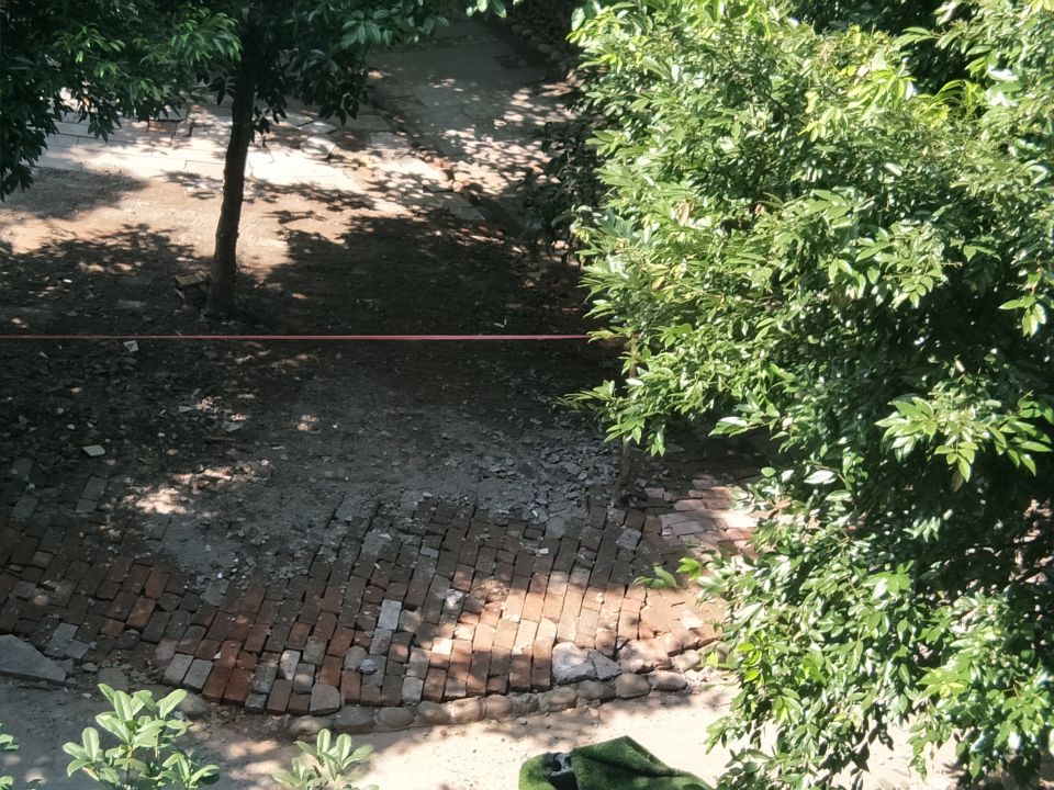 反映阳光花园小区绿化带被破坏