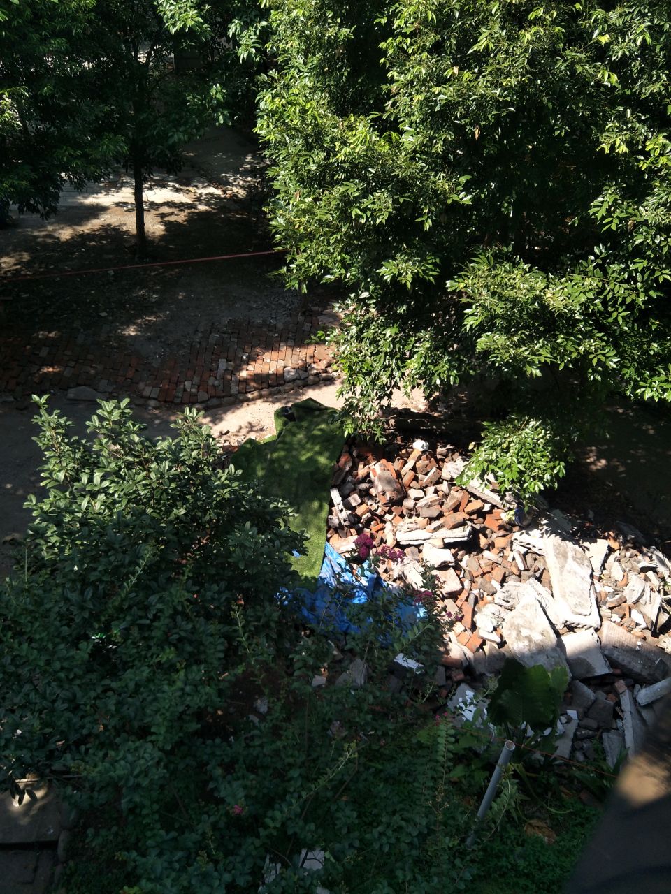 反映阳光花园小区绿化带被破坏