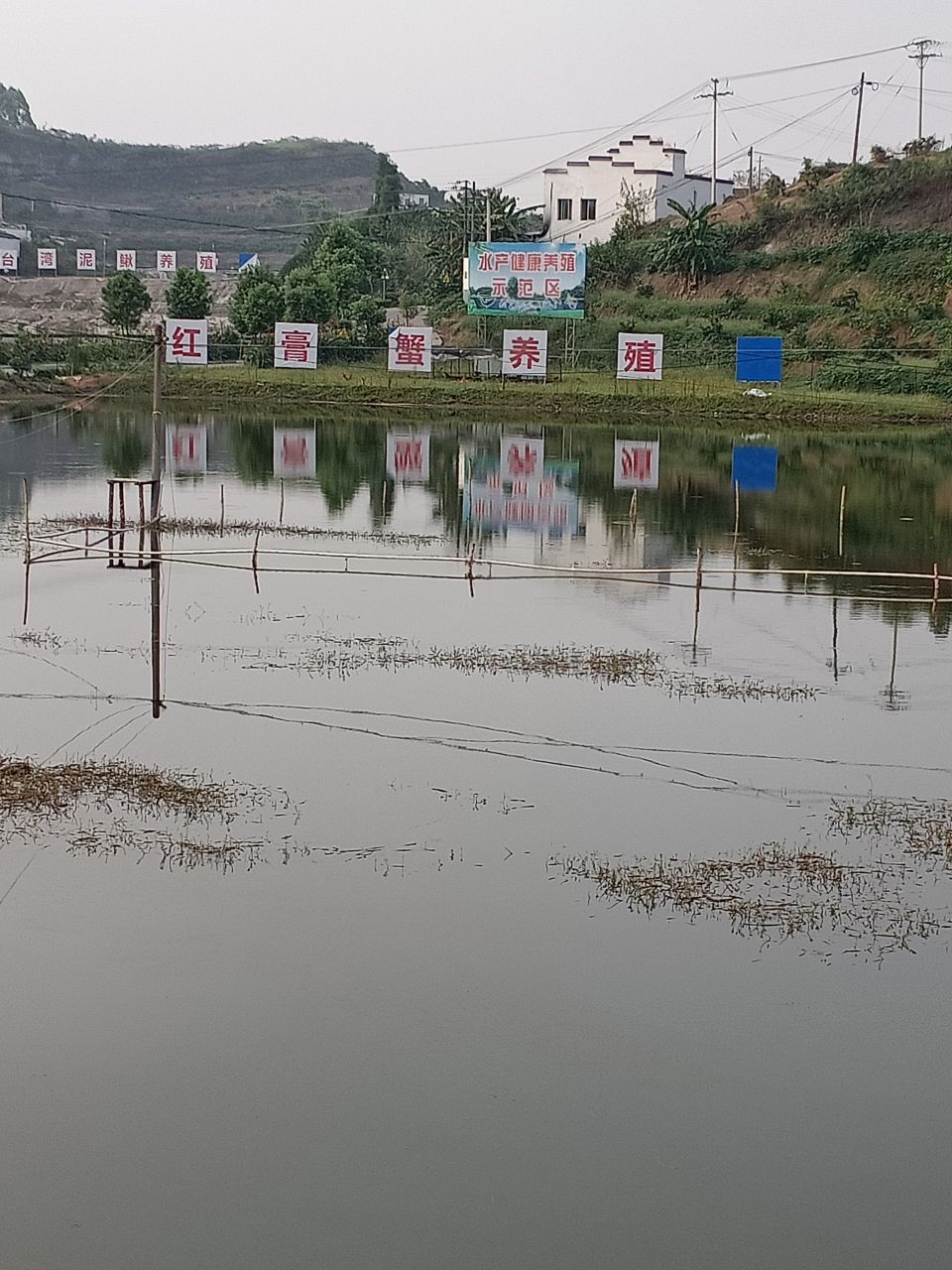 咨询在泸县喻寺镇搞水产养殖有没有补助