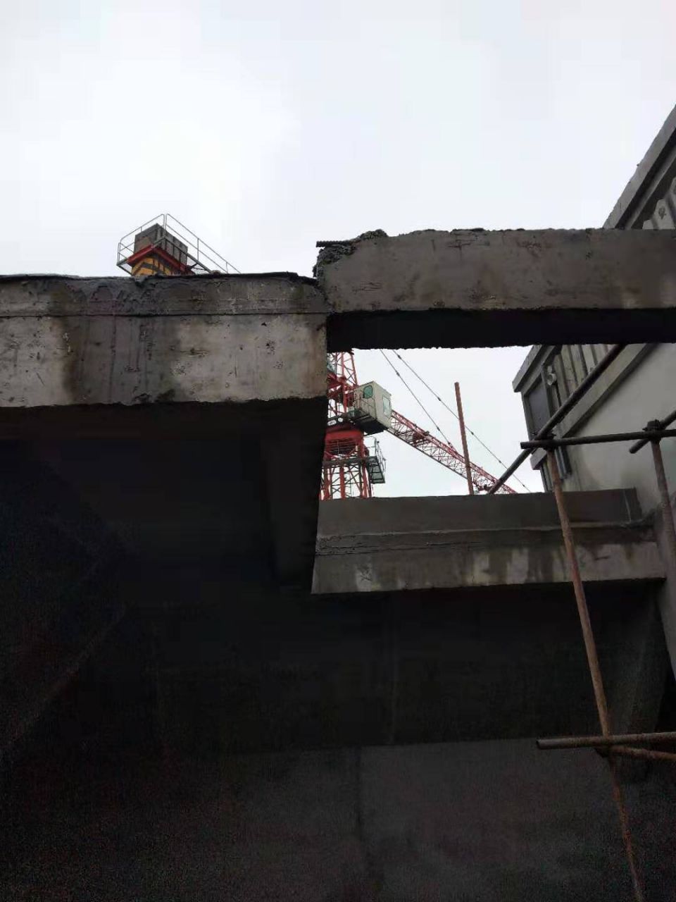 mmexport1571974828432.jpg