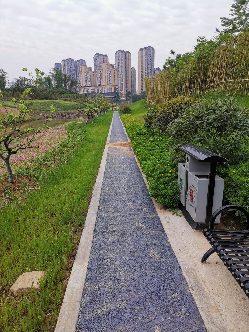 反映玉带河公园相关问题-泸州市网络问政平台