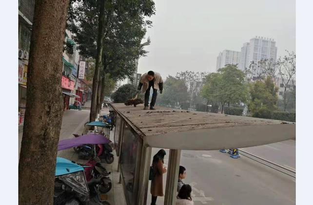 2020122973da3b7dd9e0023db3e5cb6f485ef759153414515.jpg clip_image002.jpg