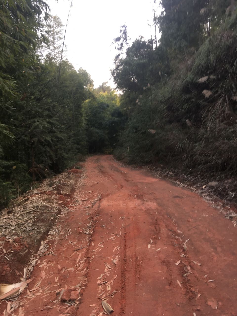 烂路6.jpg