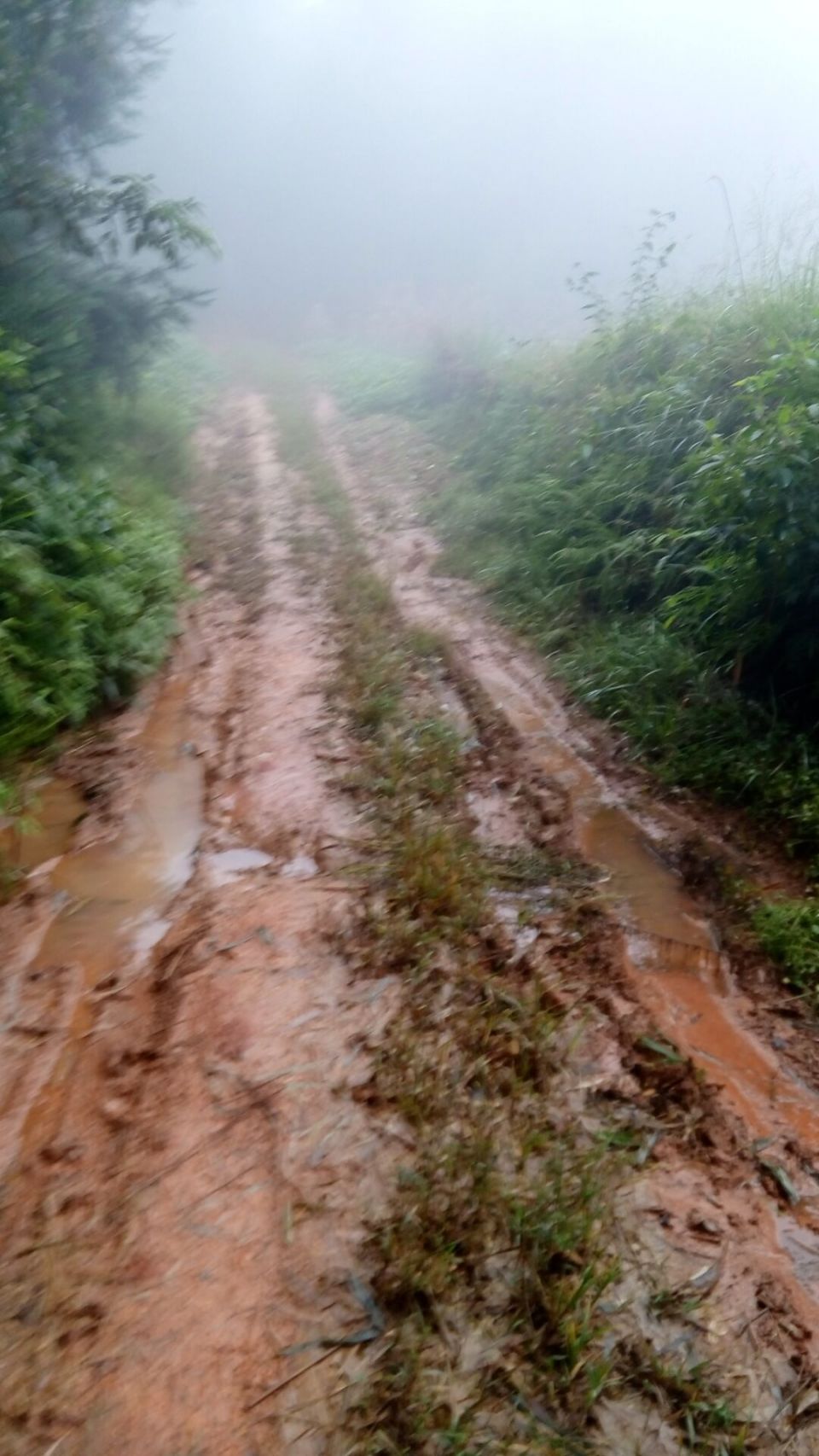 烂路1.jpg