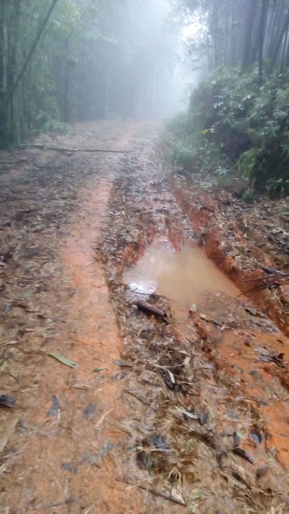 烂路2.jpg