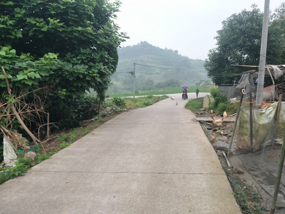 反映泸县牛滩镇建设村5社交通安全隐患