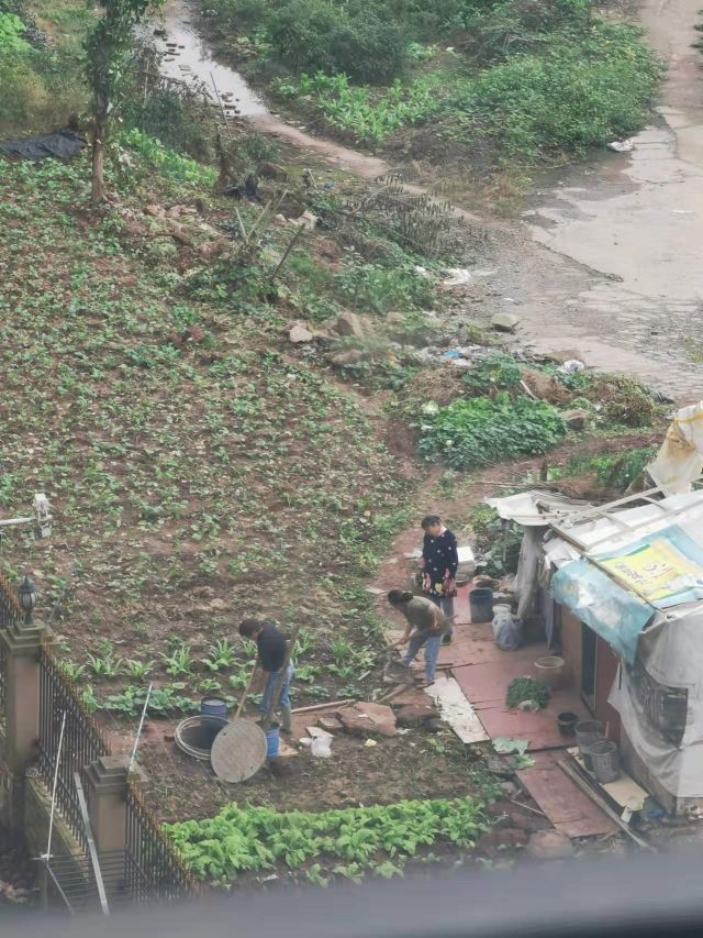 20211027d6ddaca9d5b527dd4c89246caf37a1b91548111111.jpg 微信图片_20211027150759.jpg